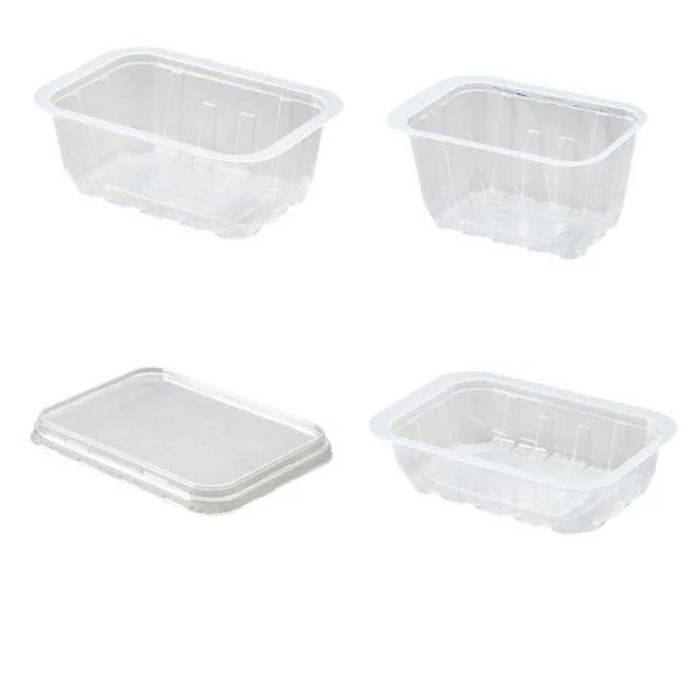 Plastic Takeaway Containers from Factory to Wholesalers